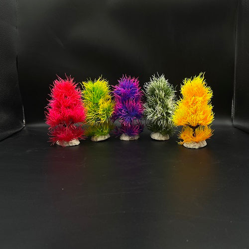 116-Plants 6"