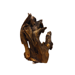 Black Shrimp Wood/Kg