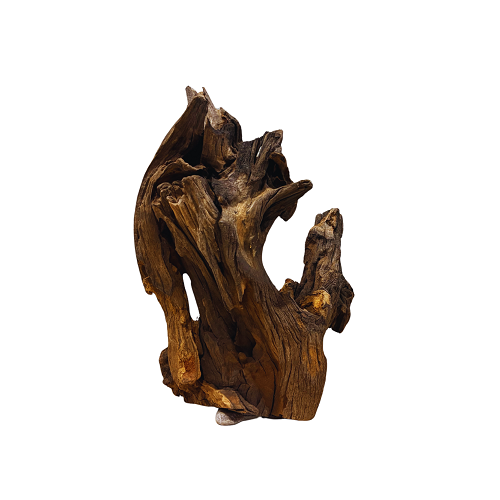 Black Shrimp Wood/Kg