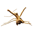 Stump Drift Wood/Kg