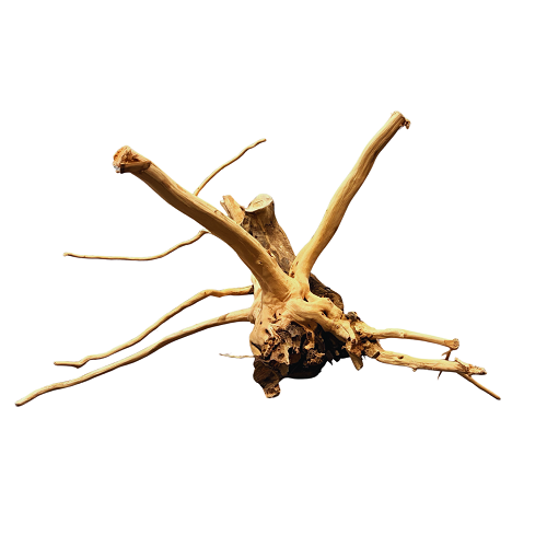 Stump Drift Wood/Kg
