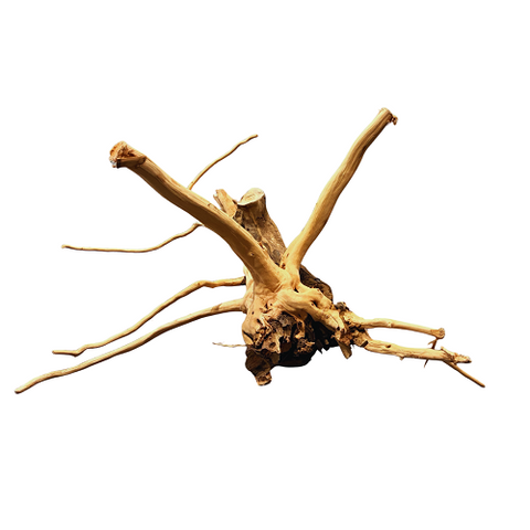 Stump Drift Wood/Kg