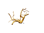 Wood Root 40-60cm/Kg