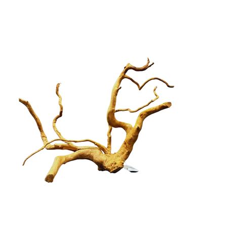Wood Root 40-60cm/Kg