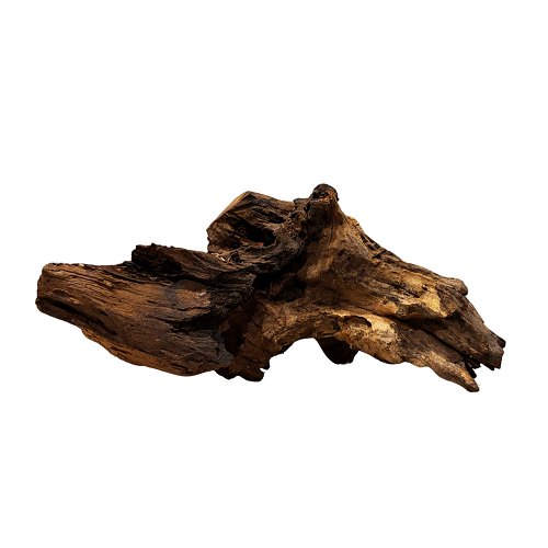 Black Shrimp Wood/Kg