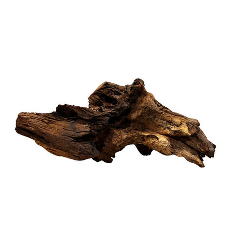 Black Shrimp Wood/Kg