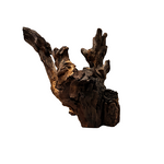 Black Shrimp Wood/Kg