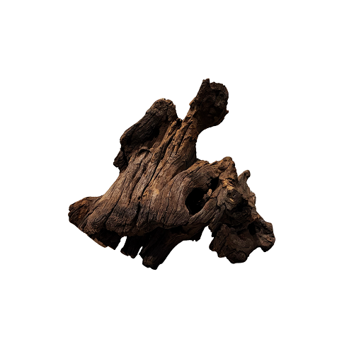 Black Shrimp Wood/Kg