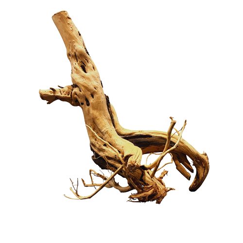 Stump Drift Wood/Kg