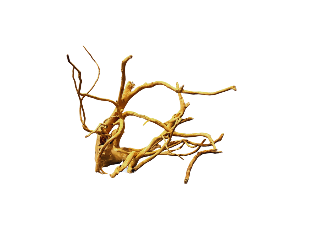 Wood Root 40-60cm/Kg