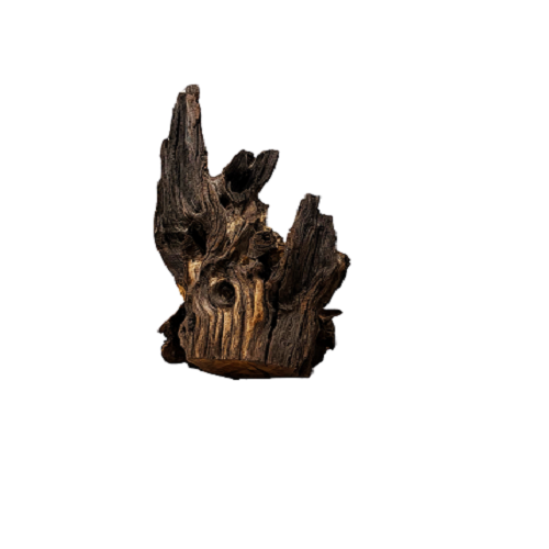 Black Shrimp Wood/Kg