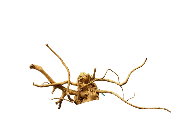 Wood Root 40-60cm/Kg