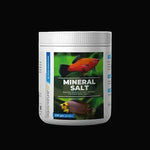AN Mineral Salt   250gm