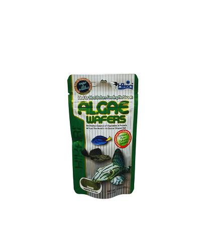 Algae Wafer 20gm
