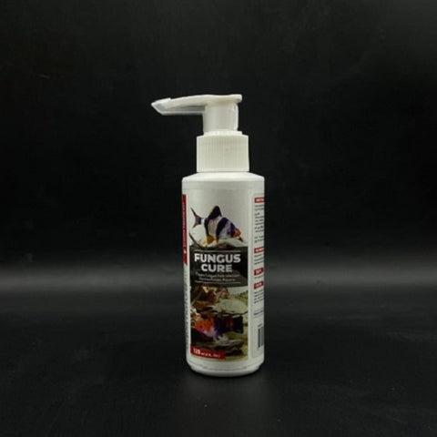 AN Fungus Cure 120ml
