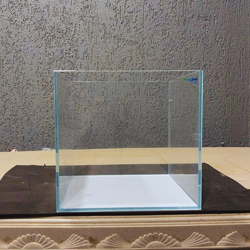 BL-10" Cube Extra Clear Tank
