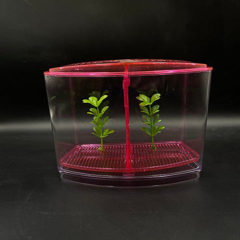 Betta House Double