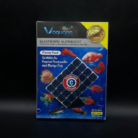 Blackworm Nutriboost 100gm - 24 Cubes