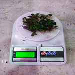 Bucephalandra Black Pearl 10gm