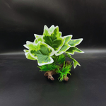 Castle Ruins Aquarium Plant