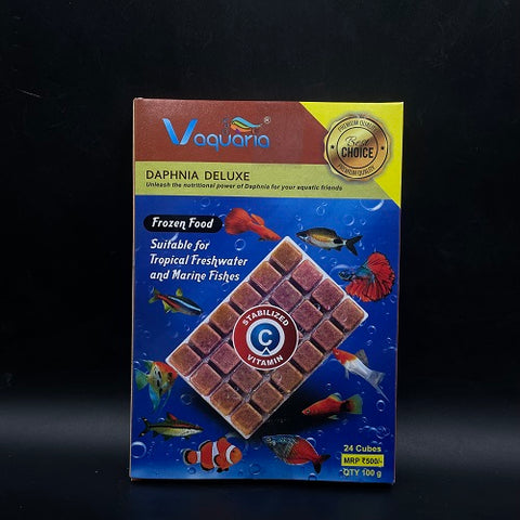 Daphnia 100gm - 24 Cubes