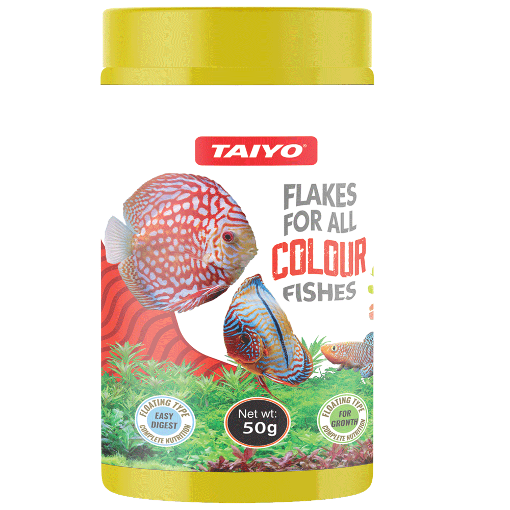 Gold Flakes 50gm