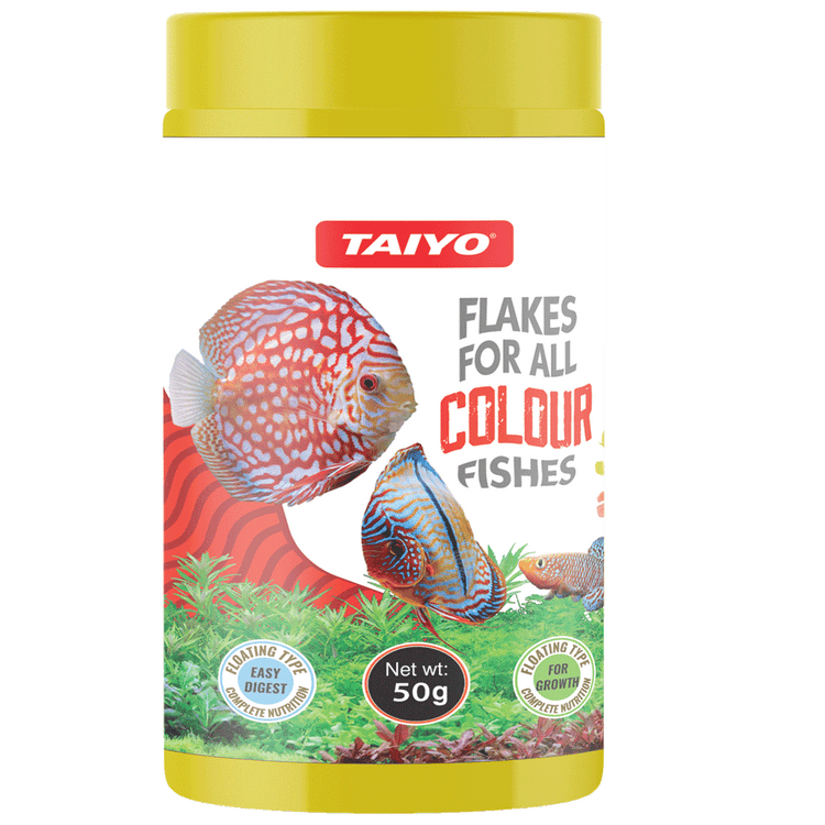 Gold Flakes 50gm