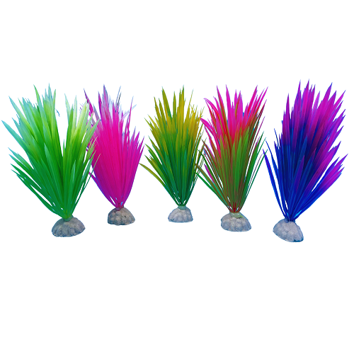 Grass Plant