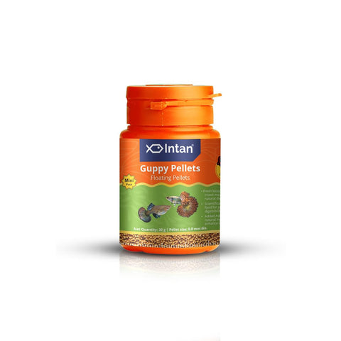 Guppy Pellets (Mini) 30gm-Intan