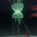 Jelly Fish Toy