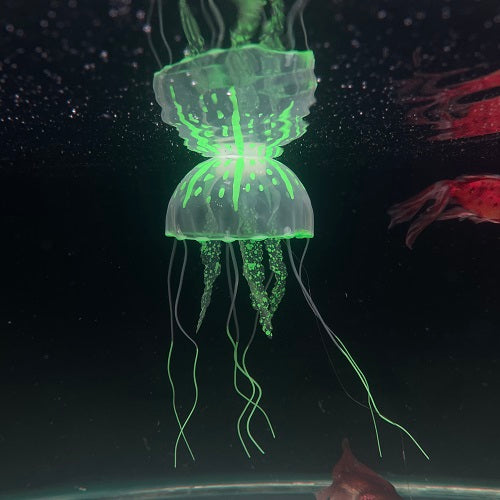 Jelly Fish Toy