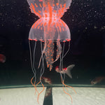 Jelly Fish Toy
