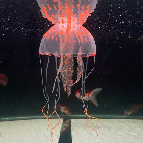 Jelly Fish Toy