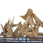 Lucky Wood Stump/Kg