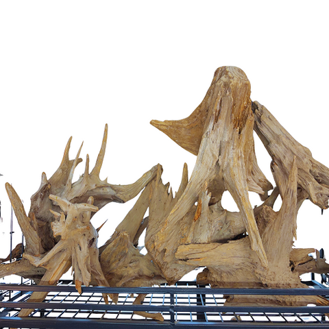 Lucky Wood Stump/Kg