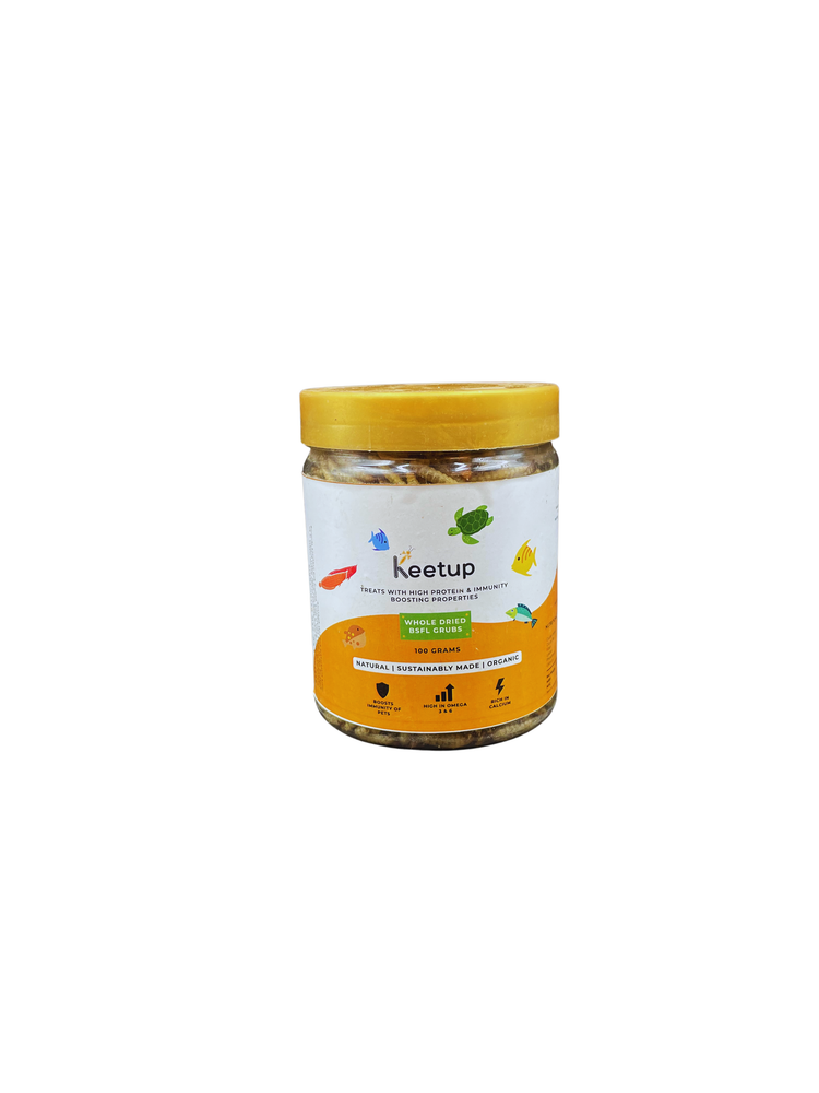 Mealworm (M) 100gm - Keetup
