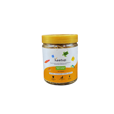 Mealworm (M) 100gm - Keetup