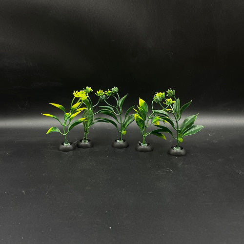 Mini Plant 3.5"
