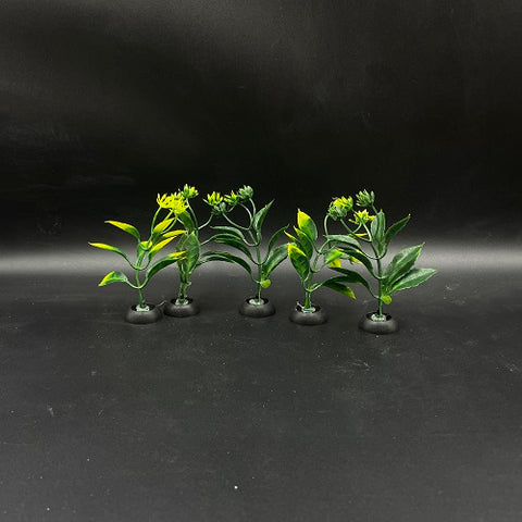Mini Plant 3.5