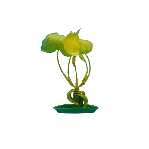 PP-504 Banana Plant