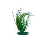PP-511 Hairgrass