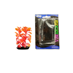PP-549 Red Ludwigia