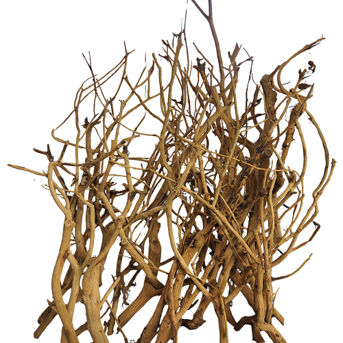 Rose Wood Branches 50-90 cm/Kg